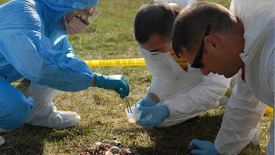 People in full plastic protective overalls and face masks pick gently at a biological sample on the ground